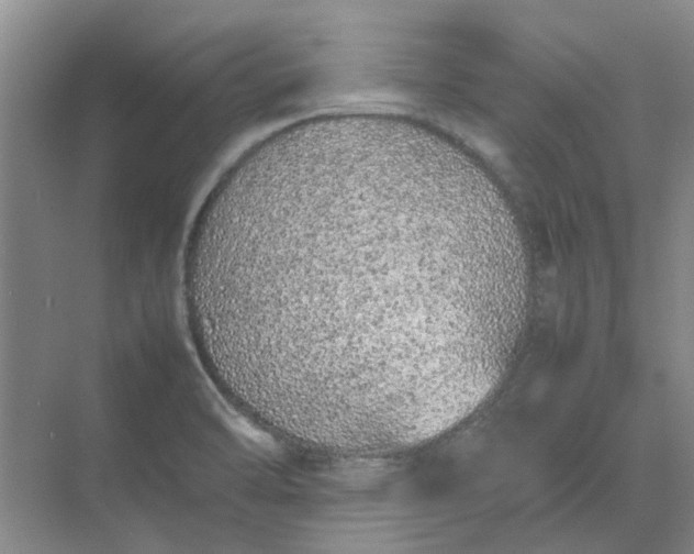 X0000074931470200609151926