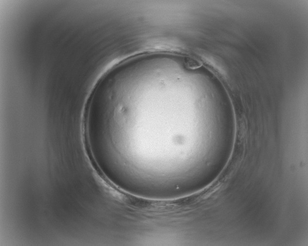 X0000074931471200609151926