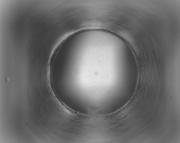 X0000074931472200609151926