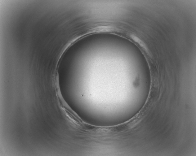 X0000074931473200609151926