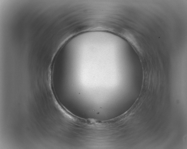 X0000074931476200609151926