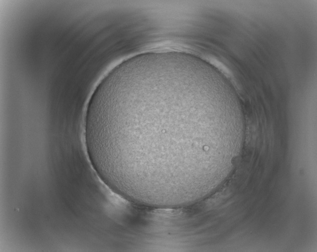 X0000074931478200609151926