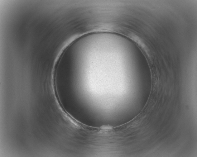 X0000074931480200609151926