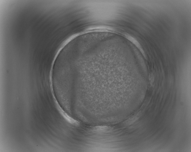 X0000074931482200609151926