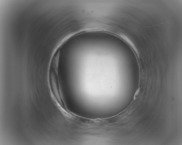 X0000074931485200609151926