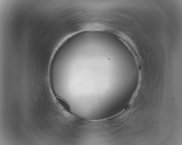 X0000074931488200609151926