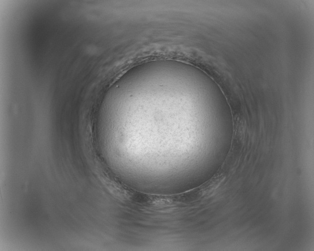 X0000074931489200609151925