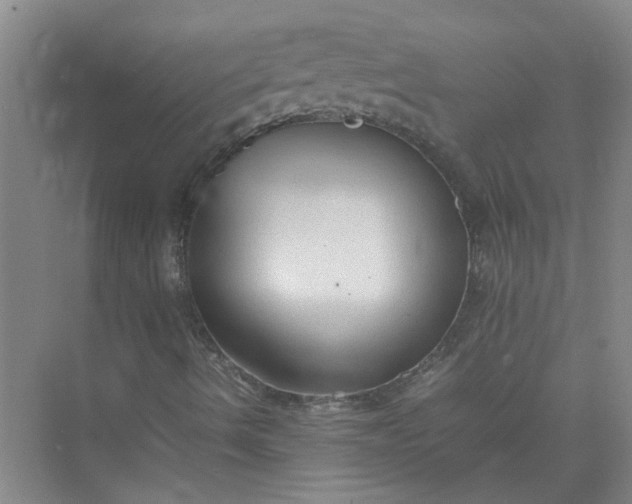 X0000074931490200609151925