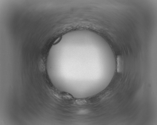 X0000074931491200609151925