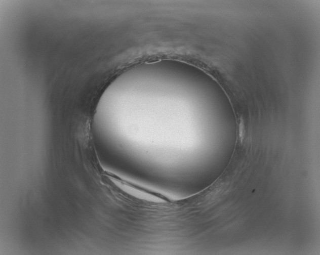 X0000074931492200609151925