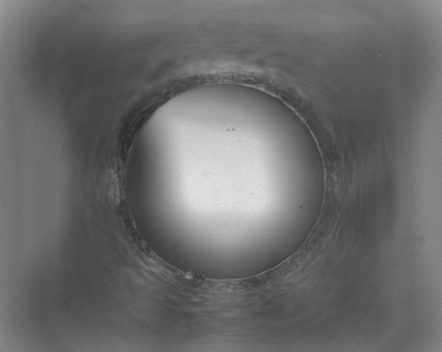 X0000074931493200609151925