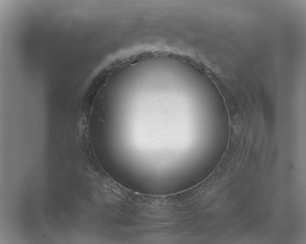 X0000074931495200609151925