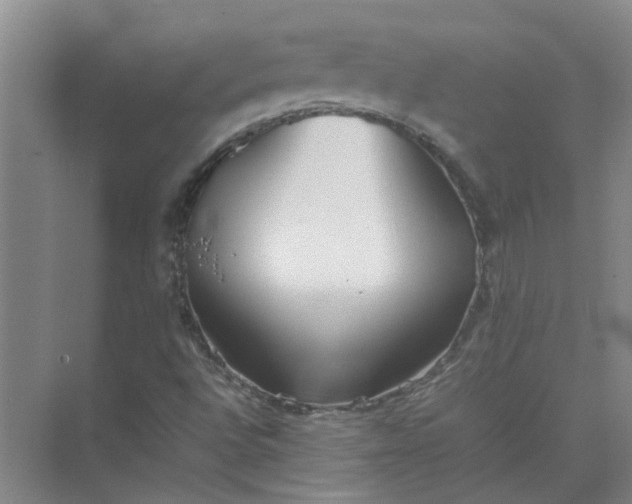 X0000074931496200609151925