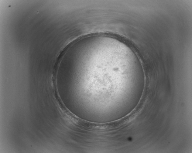 X0000074931497200609151925