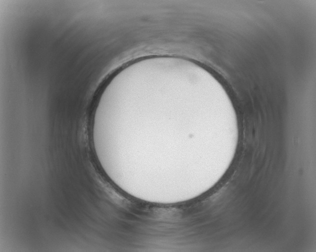 X0000074931498200609151925