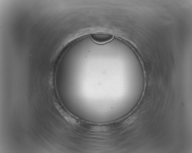 X0000074931499200609151925