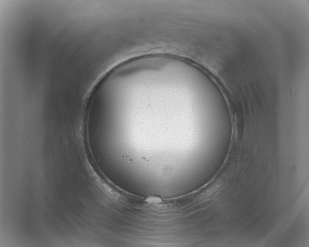 X0000074931500200609151925