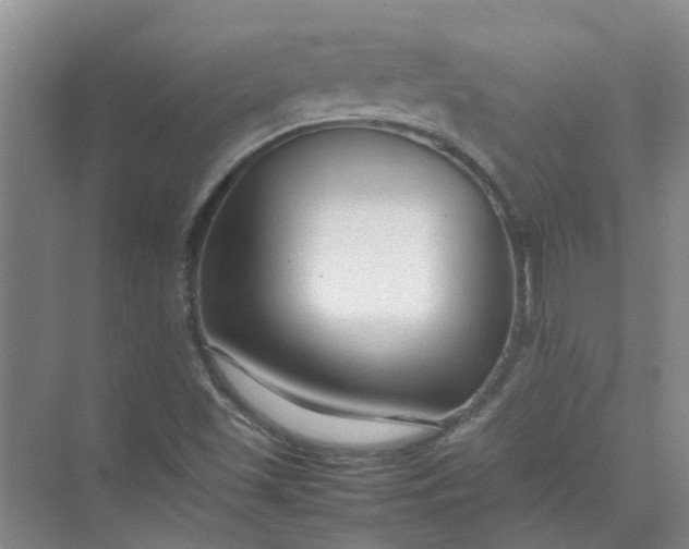 X0000074931501200609151925