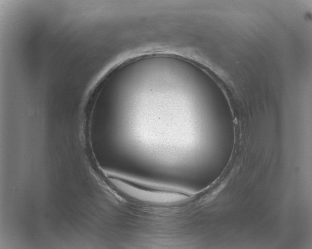 X0000074931502200609151925