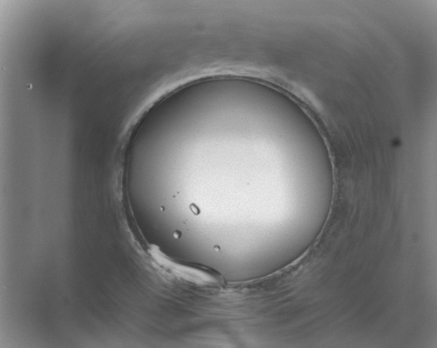 X0000074931504200609151925