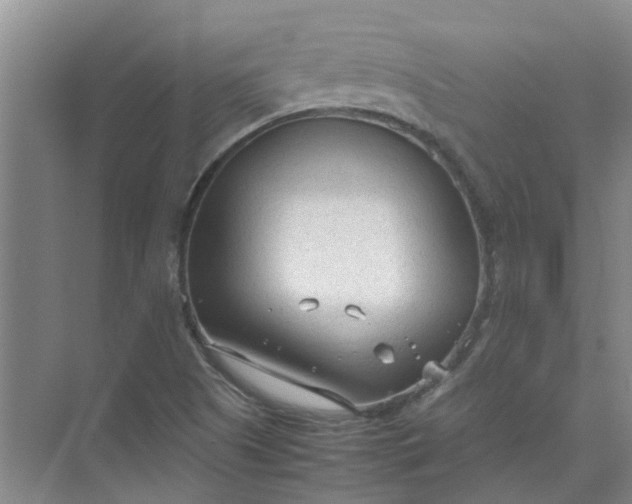 X0000074931505200609151925