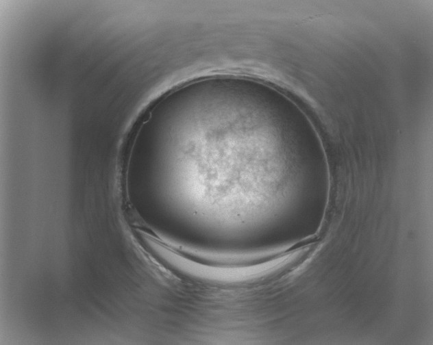 X0000074931506200609151925