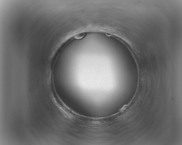 X0000074931507200609151925