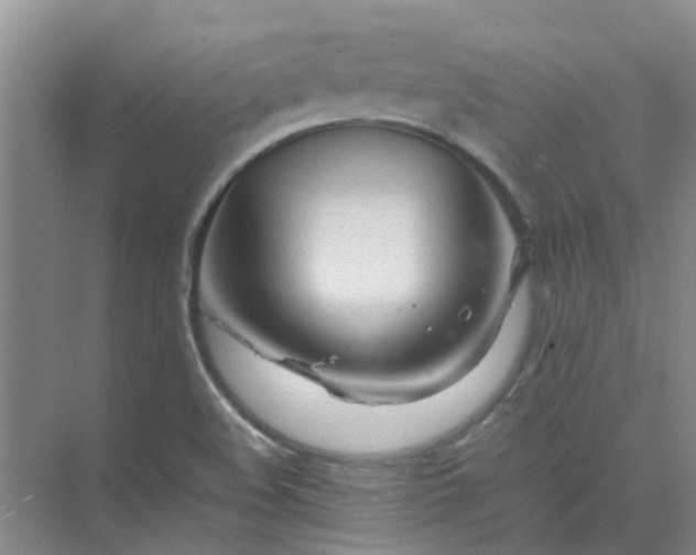 X0000074931508200609151925