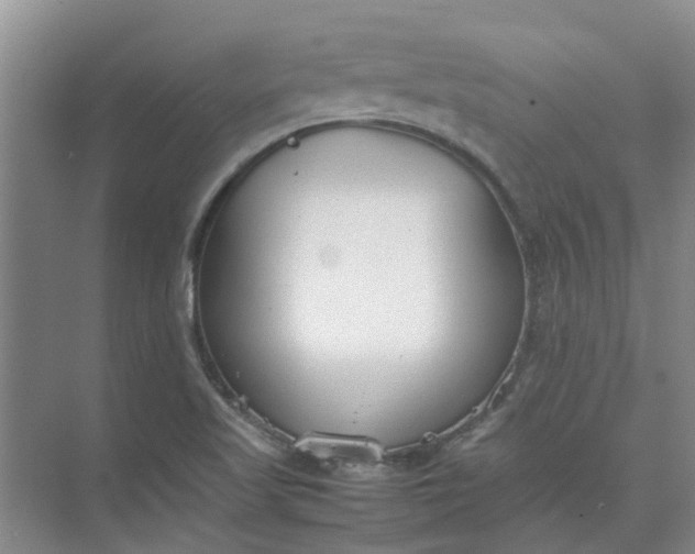 X0000074931509200609151925