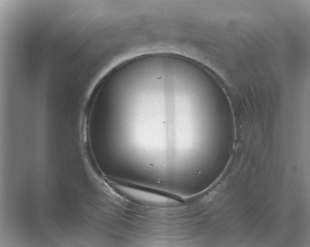 X0000074931510200609151925