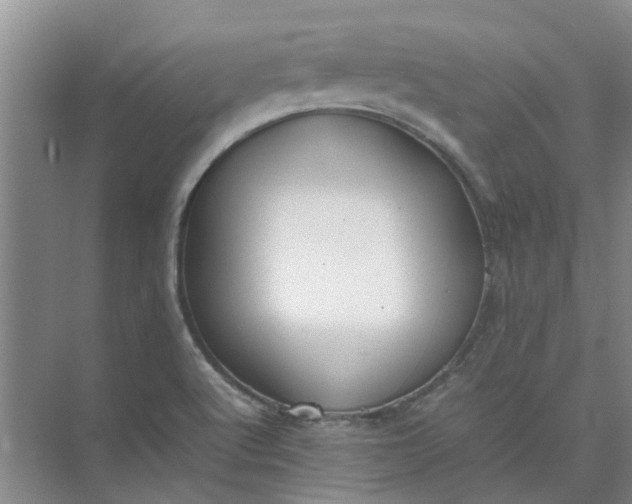 X0000074931512200609151925