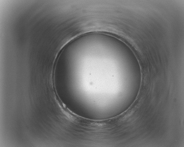 X0000074931513200609151925