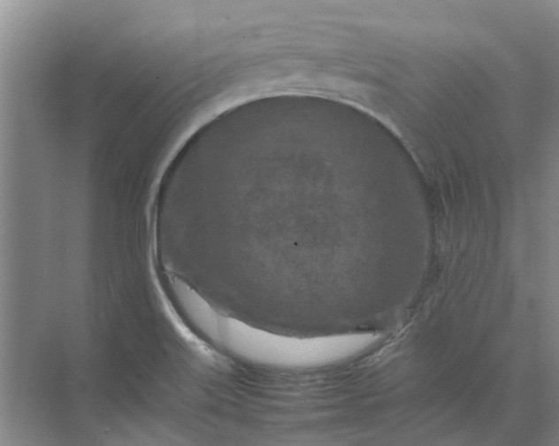 X0000074931515200609151925