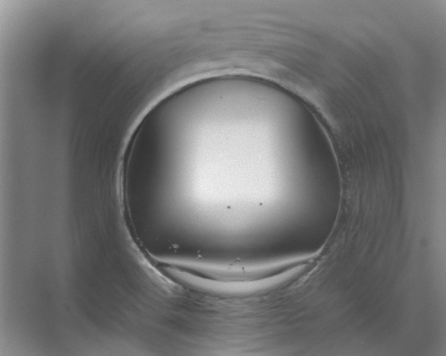 X0000074931516200609151925