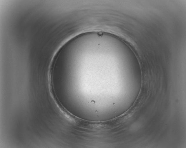 X0000074931517200609151925