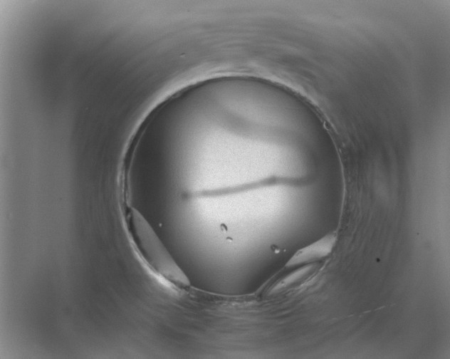 X0000074931519200609151925