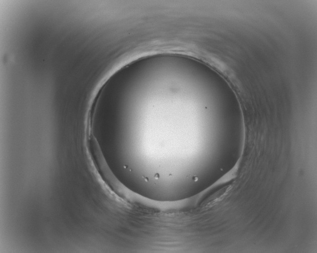 X0000074931520200609151925