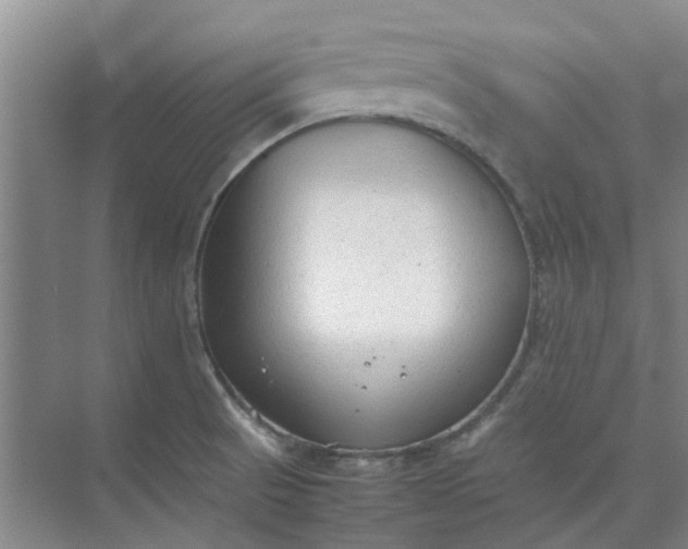 X0000074931521200609151925