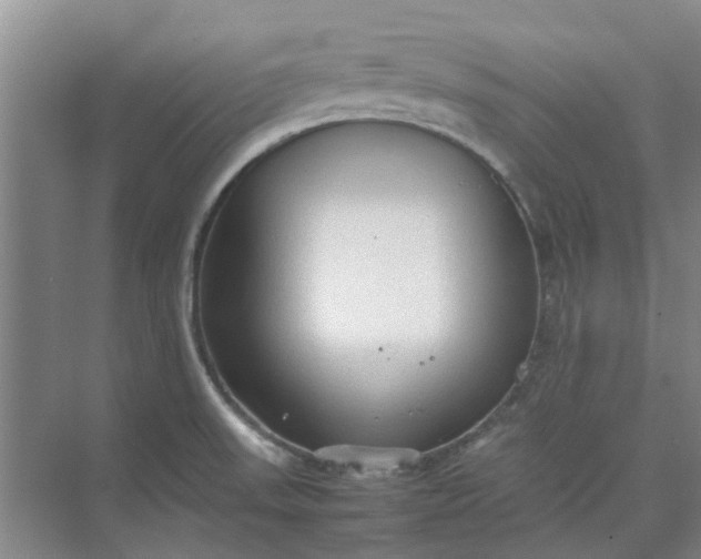 X0000074931523200609151925