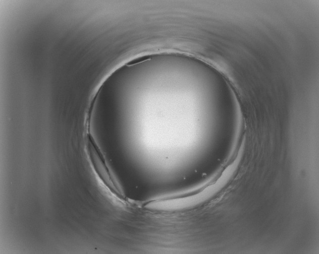 X0000074931524200609151925