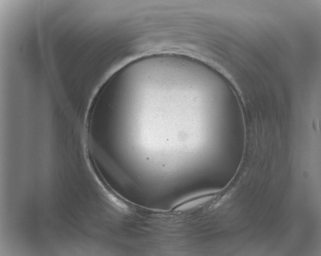 X0000074931525200609151925