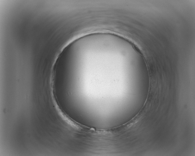 X0000074931526200609151926