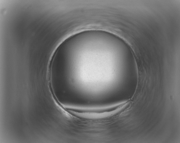 X0000074931527200609151926