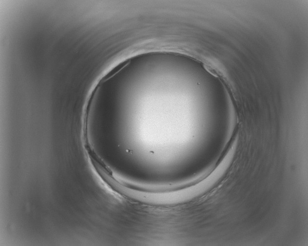 X0000074931528200609151926