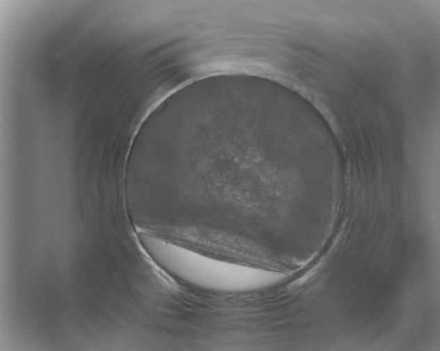 X0000074931529200609151926