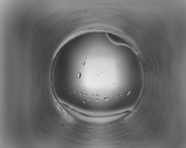 X0000074931530200609151926