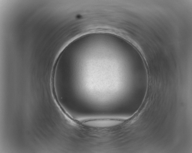 X0000074931533200609151926