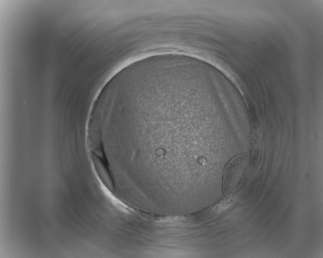 X0000074931535200609151926