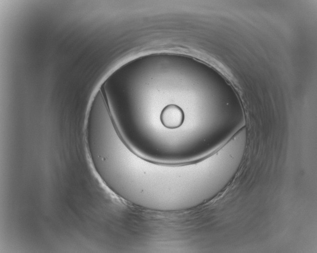 X0000074931536200609151926