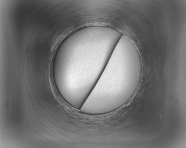 X0000074930001200609221651